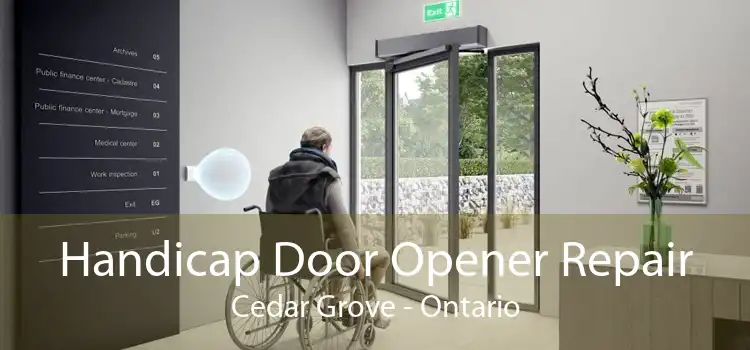 Handicap Door Opener Repair Cedar Grove - Ontario