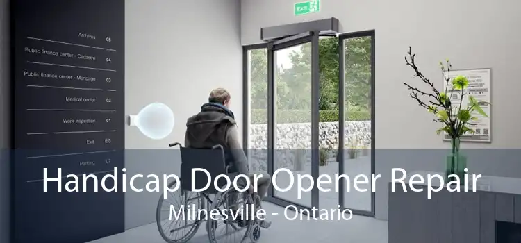 Handicap Door Opener Repair Milnesville - Ontario