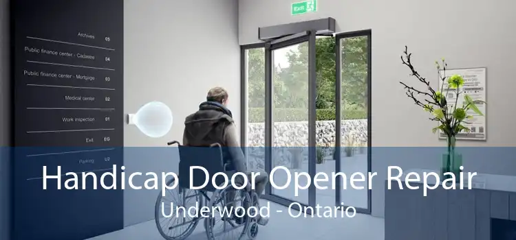 Handicap Door Opener Repair Underwood - Ontario