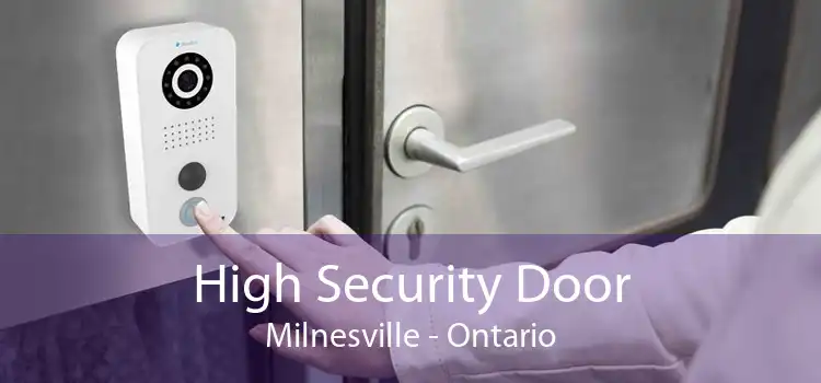 High Security Door Milnesville - Ontario