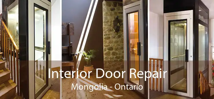 Interior Door Repair Mongolia - Ontario