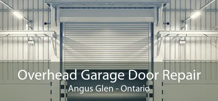 Overhead Garage Door Repair Angus Glen - Ontario