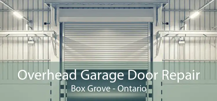Overhead Garage Door Repair Box Grove - Ontario