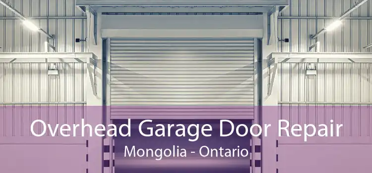 Overhead Garage Door Repair Mongolia - Ontario
