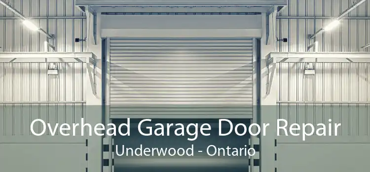 Overhead Garage Door Repair Underwood - Ontario