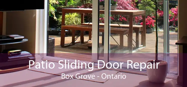 Patio Sliding Door Repair Box Grove - Ontario