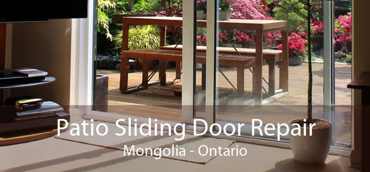Patio Sliding Door Repair Mongolia - Ontario