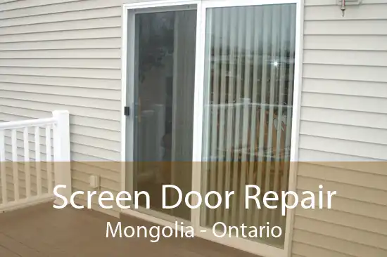 Screen Door Repair Mongolia - Ontario