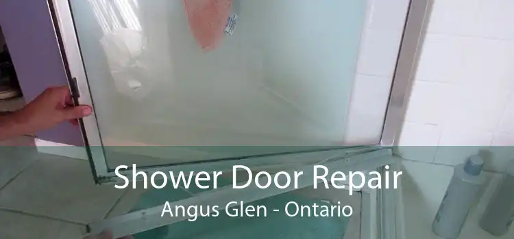 Shower Door Repair Angus Glen - Ontario