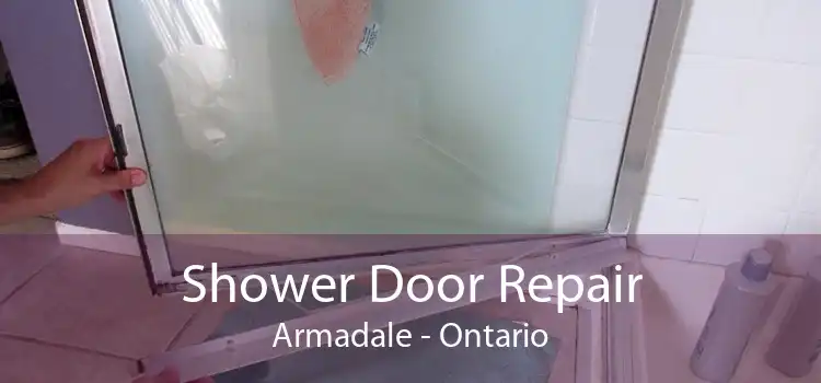 Shower Door Repair Armadale - Ontario