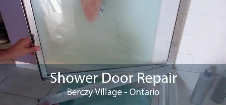 Shower Door Repair Berczy Village - Ontario