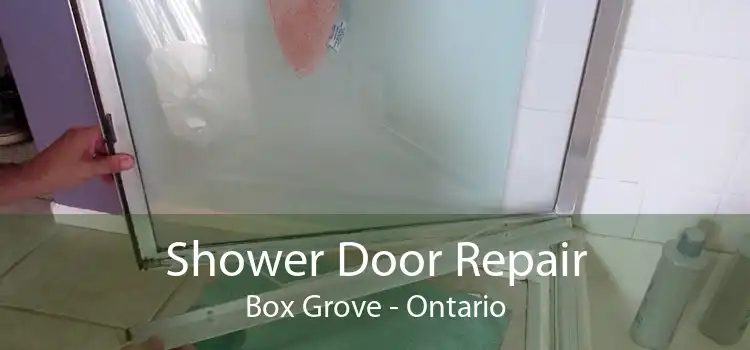 Shower Door Repair Box Grove - Ontario