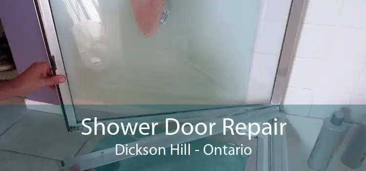 Shower Door Repair Dickson Hill - Ontario