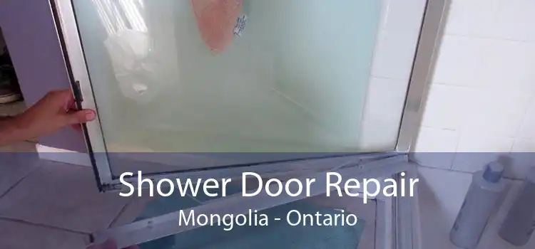 Shower Door Repair Mongolia - Ontario