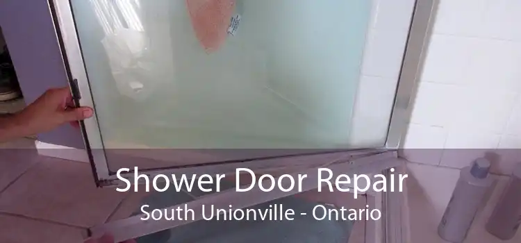Shower Door Repair South Unionville - Ontario