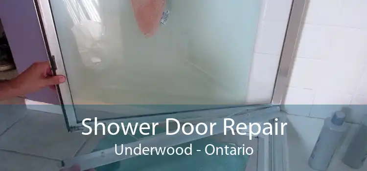 Shower Door Repair Underwood - Ontario