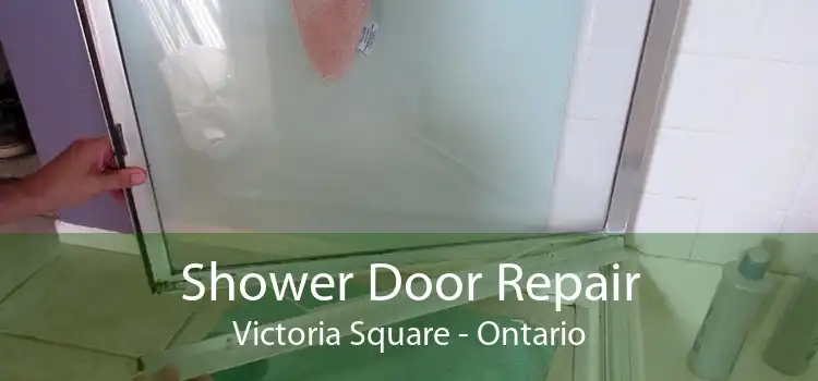 Shower Door Repair Victoria Square - Ontario