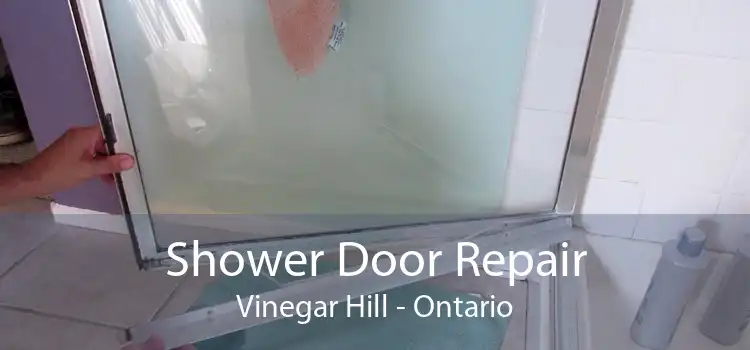 Shower Door Repair Vinegar Hill - Ontario