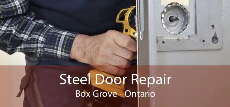 Steel Door Repair Box Grove - Ontario
