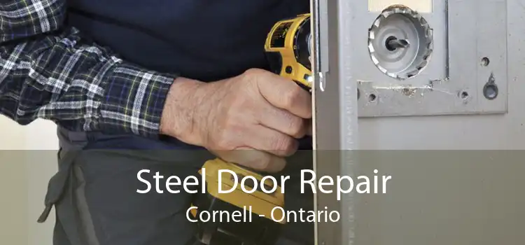 Steel Door Repair Cornell - Ontario