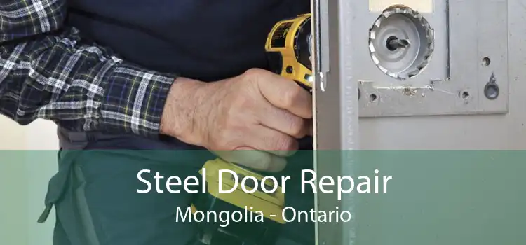 Steel Door Repair Mongolia - Ontario