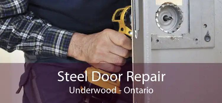 Steel Door Repair Underwood - Ontario