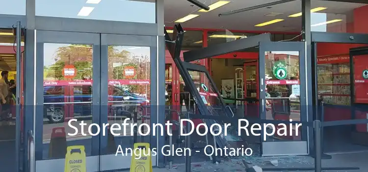 Storefront Door Repair Angus Glen - Ontario