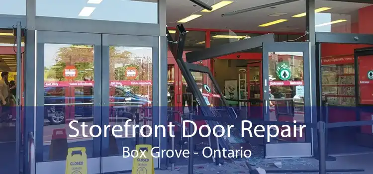 Storefront Door Repair Box Grove - Ontario