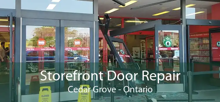 Storefront Door Repair Cedar Grove - Ontario
