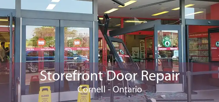 Storefront Door Repair Cornell - Ontario