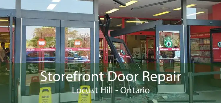 Storefront Door Repair Locust Hill - Ontario