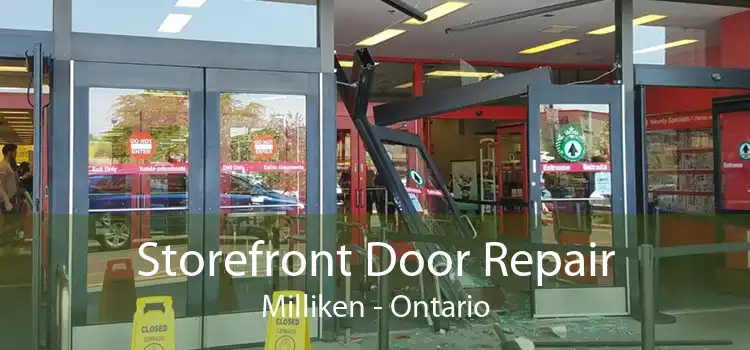 Storefront Door Repair Milliken - Ontario