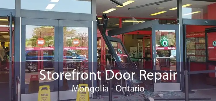 Storefront Door Repair Mongolia - Ontario