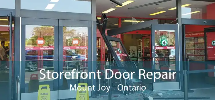 Storefront Door Repair Mount Joy - Ontario