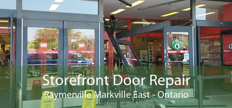 Storefront Door Repair Raymerville Markville East - Ontario