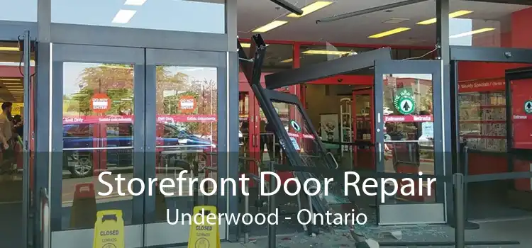 Storefront Door Repair Underwood - Ontario