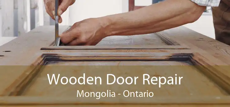 Wooden Door Repair Mongolia - Ontario